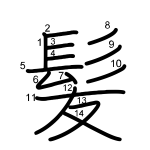髪