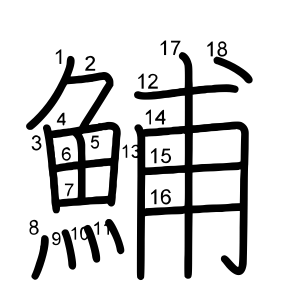 鯆