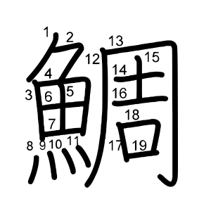 鯛
