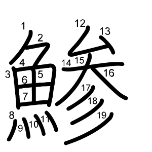 鯵