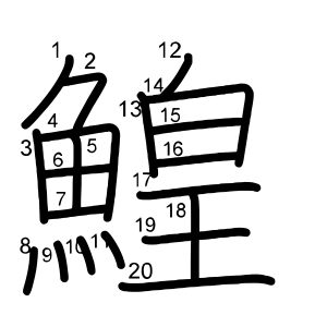 鰉