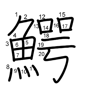 鰐