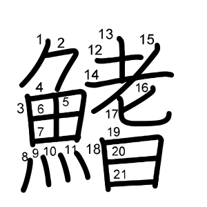 鰭