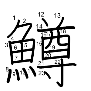 鱒